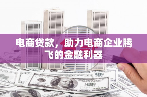 莒南电商贷款，助力电商企业腾飞的金融利器