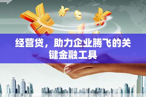 莒南经营贷，助力企业腾飞的关键金融工具