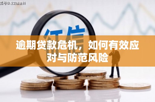 莒南逾期贷款危机，如何有效应对与防范风险