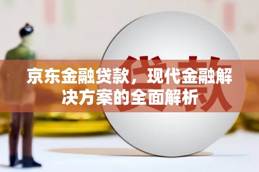 莒南京东金融贷款，现代金融解决方案的全面解析
