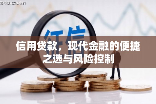 莒南信用贷款，现代金融的便捷之选与风险控制