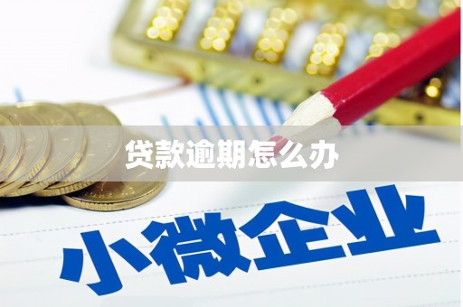 莒南贷款逾期怎么办