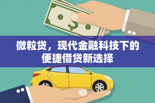 莒南微粒贷，现代金融科技下的便捷借贷新选择