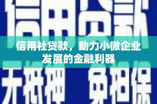 莒南信用社贷款，助力小微企业发展的金融利器