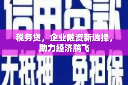 莒南税务贷，企业融资新选择，助力经济腾飞