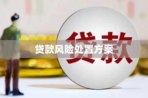 莒南贷款风险处置方案