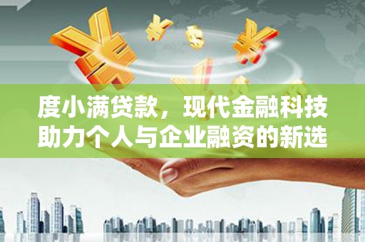 莒南度小满贷款，现代金融科技助力个人与企业融资的新选择