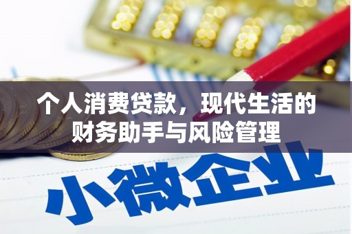 莒南个人消费贷款，现代生活的财务助手与风险管理