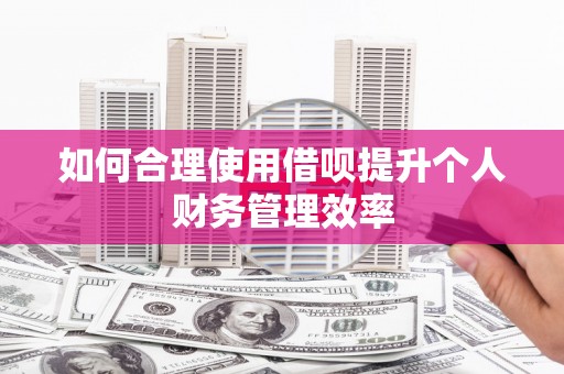 莒南如何合理使用借呗提升个人财务管理效率