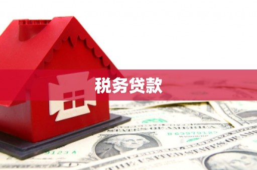 莒南税务贷款