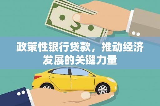 莒南政策性银行贷款，推动经济发展的关键力量