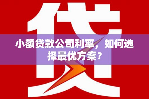 莒南小额贷款公司利率，如何选择最优方案？