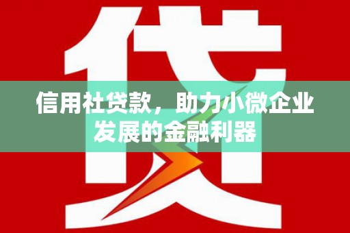 莒南信用社贷款，助力小微企业发展的金融利器