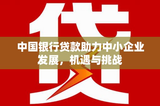 莒南中国银行贷款助力中小企业发展，机遇与挑战