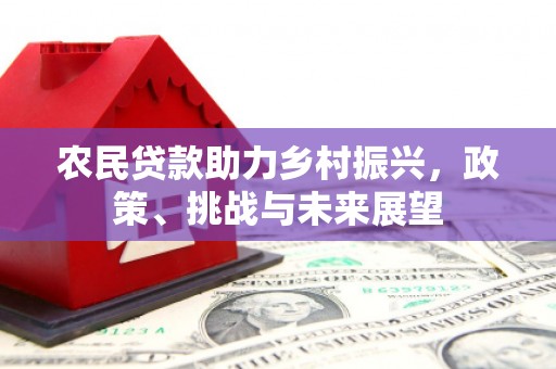 莒南农民贷款助力乡村振兴，政策、挑战与未来展望