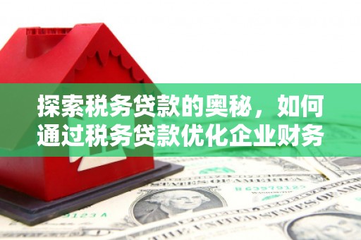莒南探索税务贷款的奥秘，如何通过税务贷款优化企业财务