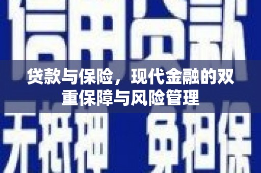 莒南贷款与保险，现代金融的双重保障与风险管理