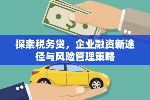 莒南探索税务贷，企业融资新途径与风险管理策略