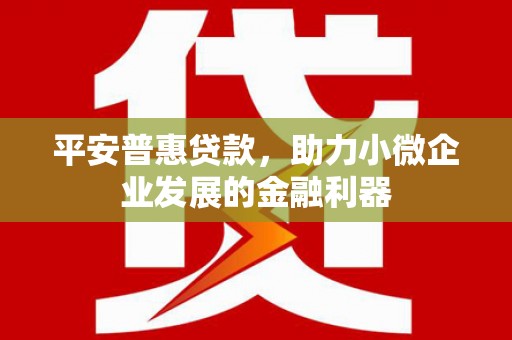 莒南平安普惠贷款，助力小微企业发展的金融利器