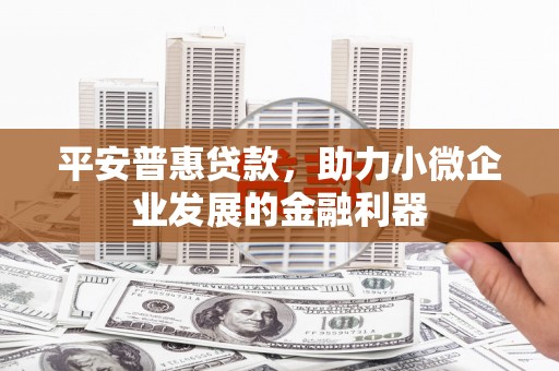 莒南平安普惠贷款，助力小微企业发展的金融利器