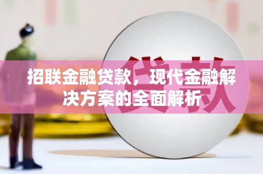 莒南招联金融贷款，现代金融解决方案的全面解析