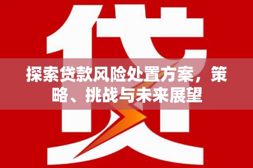 莒南探索贷款风险处置方案，策略、挑战与未来展望