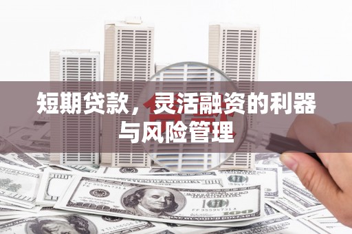 莒南短期贷款，灵活融资的利器与风险管理