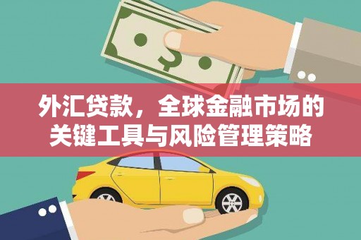 莒南外汇贷款，全球金融市场的关键工具与风险管理策略