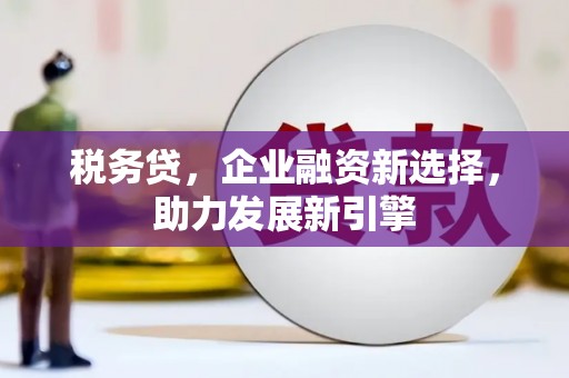 莒南税务贷，企业融资新选择，助力发展新引擎