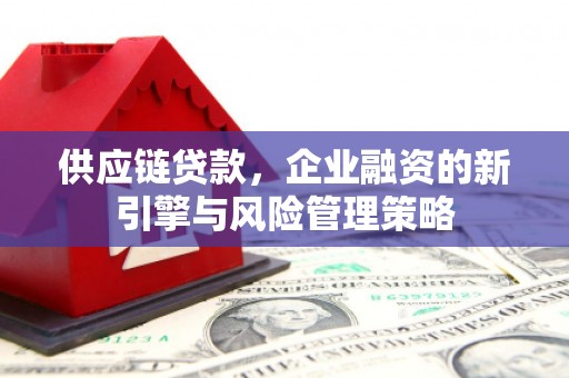 莒南供应链贷款，企业融资的新引擎与风险管理策略