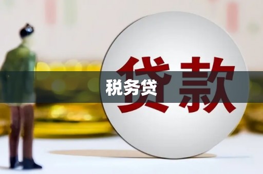 莒南税务贷