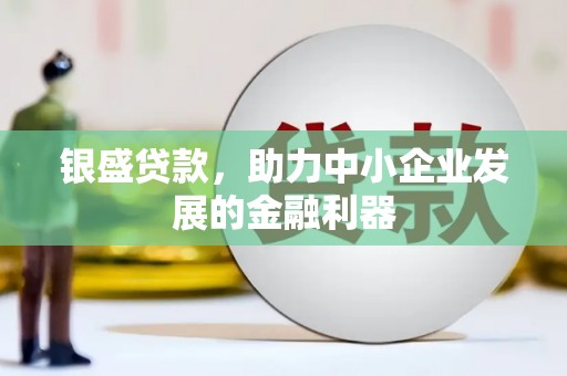 莒南银盛贷款，助力中小企业发展的金融利器