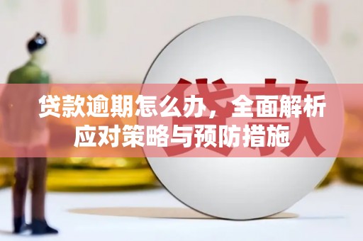 莒南贷款逾期怎么办，全面解析应对策略与预防措施