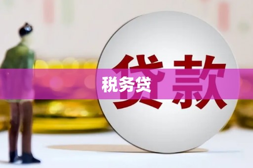 莒南税务贷