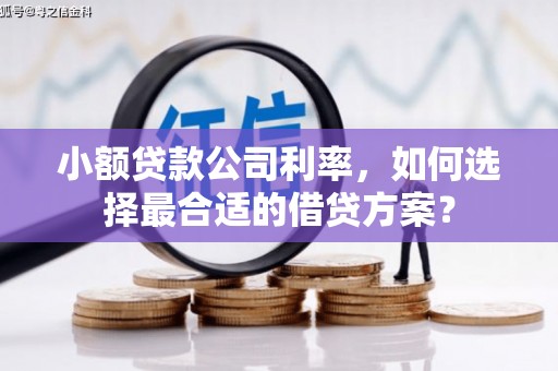 莒南小额贷款公司利率，如何选择最合适的借贷方案？