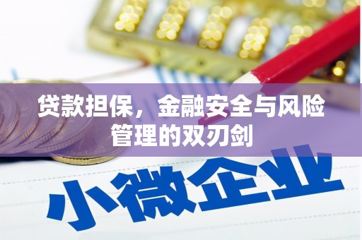 莒南贷款担保，金融安全与风险管理的双刃剑