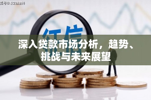 莒南深入贷款市场分析，趋势、挑战与未来展望