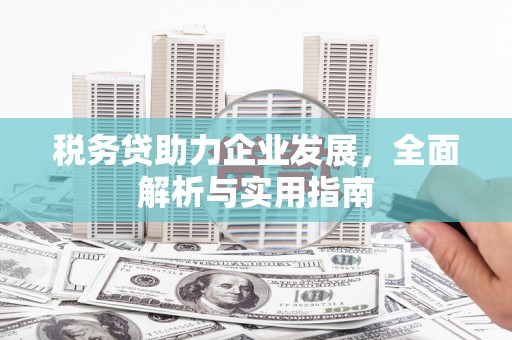 莒南税务贷助力企业发展，全面解析与实用指南