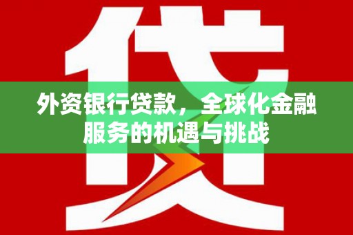 莒南外资银行贷款，全球化金融服务的机遇与挑战