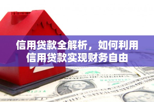 莒南信用贷款全解析，如何利用信用贷款实现财务自由